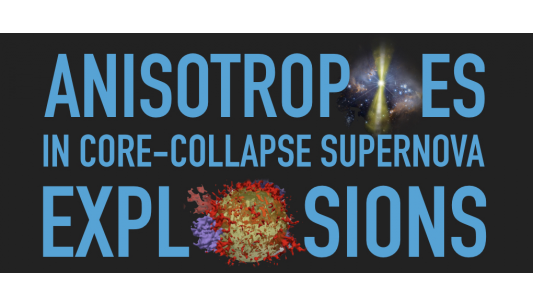 Anisotropies in core-collapse supernova explosions (WG3+WG4+WG5 meeting)